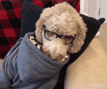 Eating Popcorn Eating GIF - Eating Popcorn Eating Dog With Glasses GIFs
