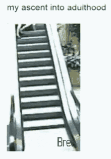 Stairs Fail GIF