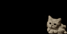 Smoke Cat GIF - Smoke Cat GIFs
