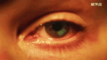 eye live hallangen post mortem pupil vision