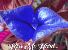 Kiss Me Hard Lips GIF - Kiss Me Hard Lips Flower GIFs