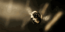 Bee Busy GIF - Bee Busy Flying GIFs