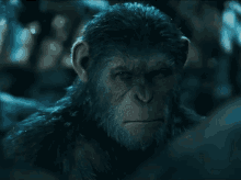 Grumpy GIF - War For The Planet Of The Apes Caesar Andy Serkis GIFs