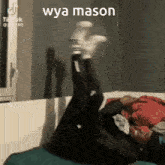 Xedcluse Mason GIF