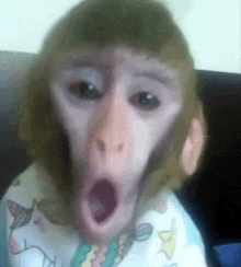 a close up of a monkey making a funny face