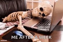 a skeleton is laying on top of a laptop computer .