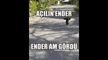 Ender Reden GIF - Ender Reden Amcı GIFs