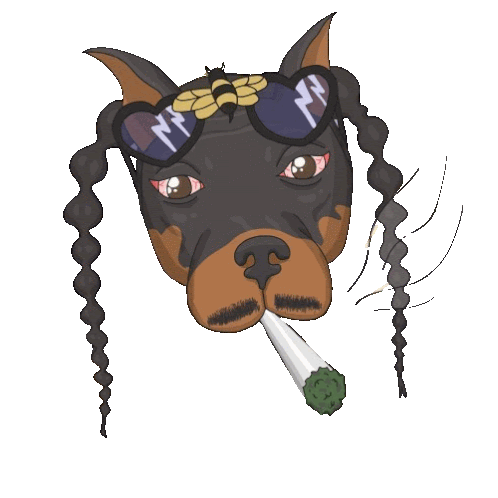 a doberman wearing sunglasses and braids smoking a cigarette