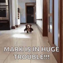 Mark Trouble GIF - Mark Trouble Dog GIFs