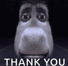 a picture of a donkey face with the words thank you below it