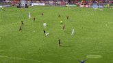 a soccer player is laying on the ground during a game