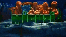 a cartoon of a coral reef with the word miguel written on it