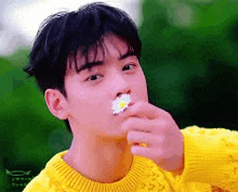 a young man in a yellow sweater is holding a flower in his hand .
