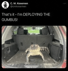 a lizard is sitting in the back of a car trunk .