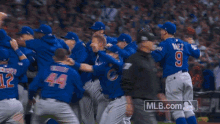 cubs celebrate happy jumping winner