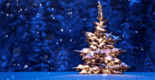 Christmas Tree GIF - Snowing Xmas Christmas Snow GIFs