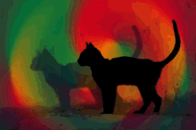 Hypnotic Cat GIF - Hypnotic Cat Psychedelic GIFs