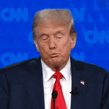 Trump Debate GIF