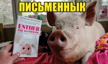 свинья Pig GIF - свинья Pig письменник GIFs