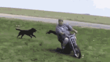 Maximo Dod Dog GIF - Maximo Dod Dog Chase GIFs