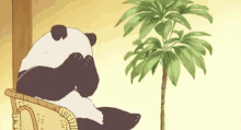 Panda Shy GIF - Panda Shy Embarrassed GIFs