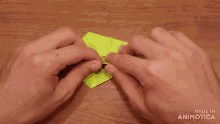 a person is holding a piece of green paper with the words made in animotica below it