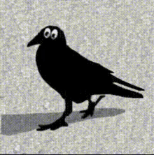 Cuervo Raven GIF