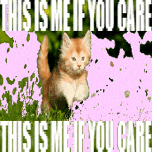 a pixelated image of a cat with the words " this is me if you care "