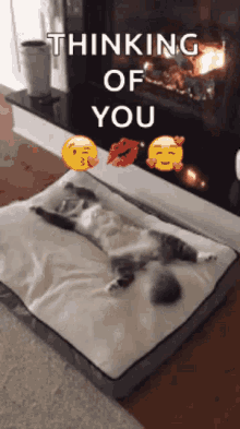 Cat Chilling GIF - Cat Chilling Fireplace GIFs
