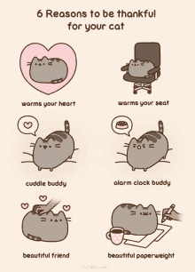 Cats Reasons To Be Thankful For Your Cat GIF - Cats Reasons To Be Thankful For Your Cat Pusheen GIFs