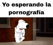 a cartoon dog is standing in front of a door and smoking a cigarette while waiting for pornography .