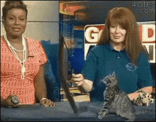News Cat GIF - News Cat Kitten GIFs