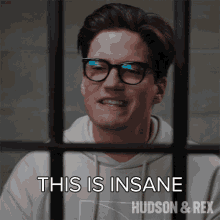 This Is Insane Jesse Mills GIF - This Is Insane Jesse Mills Hudson And Rex GIFs