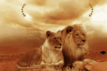 Lion Bonne Annee GIF - Lion Bonne Annee GIFs