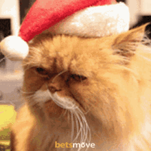 Kedi Cat GIF - Kedi Cat Cat Christmas GIFs