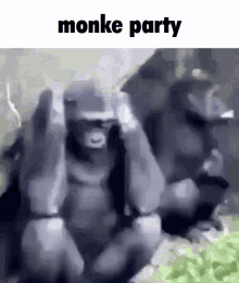Monke Monkey GIF - Monke Monkey Party GIFs