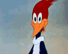Woody Woodpecker Shrug Shoulders GIF - Woody Woodpecker Shrug Shoulders Shrugs GIFs