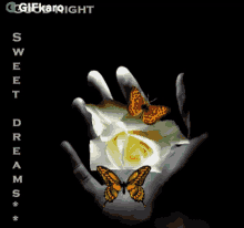 Sweet Dreams Gifkaro GIF - Sweet Dreams Gifkaro Flower GIFs