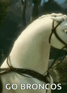 Horse Hey GIF - Horse Hey Tangled GIFs