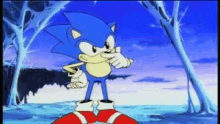 Hedgehog Sonic GIF - Hedgehog Sonic Pinch Nose GIFs