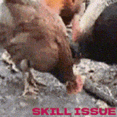 Chicken Skill Issue GIF