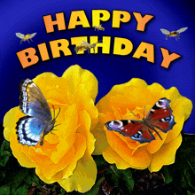 a birthday card with yellow roses and butterflies