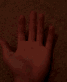 a close up of a person 's hand on a dark carpet