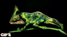 Beautiful Nightmare GIF - Lizardscream Music Lizard GIFs