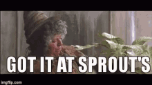 Sprouts GIF