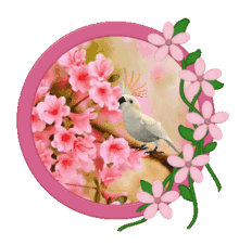 spring motivation spring animated stickers