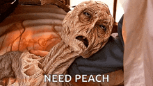 a close up of a monster with the words need peach written below it