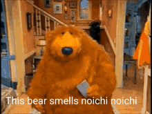 Bear Smells GIF - Bear Smells Noichi Noichi GIFs