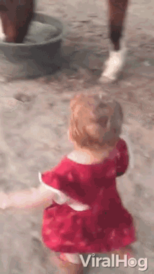 Horse Eating Hays GIF - Horse Eating Hays Running Baby GIFs