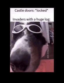 a picture of a dog wearing sunglasses with the caption " castle doors locked "
